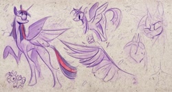 Size: 2560x1371 | Tagged: safe, artist:din.k, twilight sparkle, alicorn, pony, g4, eyebrows, eyebrows visible through hair, female, mare, sketch, sketch dump, solo, twilight sparkle (alicorn)