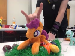 Size: 3264x2448 | Tagged: safe, scootaloo, human, pony, g4, irl, irl human, lying down, photo, plushie, prone