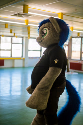 Size: 1281x1920 | Tagged: oc name needed, safe, oc, oc only, 2016, brony fair, fursuit, indoors, irl, photo, ponysuit, solo