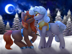 Size: 4000x3000 | Tagged: safe, artist:taiweiart, oc, oc only, earth pony, pony, unicorn, g4, my little pony: friendship is magic, boop, brown hair, brown mane, commission, commission open, cute, cuteness overload, detailed background, detailed hair, duo, earth pony oc, heart, horn, kissing, light skin, love, night, night sky, noseboop, sky, unicorn oc, white mane, ych result, yellow eyes, your character here