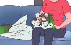 Size: 2229x1406 | Tagged: safe, artist:28gooddays, oc, oc only, human, pegasus, pony, collar, couch, eyes closed, faceless human, female, goggles, head on lap, human female, lying down, petting, pony pet, prone