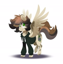 Size: 2055x2088 | Tagged: safe, artist:28gooddays, oc, oc only, oc:tayer, pegasus, pony, clothes, high res, hoodie, lineless, male, pegasus oc, simple background, smiling, solo, spread wings, stallion, white background, wings