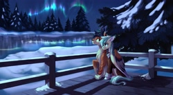 Size: 4096x2253 | Tagged: safe, artist:28gooddays, oc, oc only, big cat, hybrid, pegasus, pony, tiger, aurora borealis, clothes, duo, fence, fir tree, forest, high res, hug, jacket, nature, night, river, scenery, sitting, smiling, tree, water, winghug, wings, winter