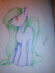 Size: 1200x1600 | Tagged: safe, artist:dorry, oc, oc only, earth pony, pony, colored pencil drawing, earth pony oc, full body, gift art, green mane, old art, profile, signature, solo, standing, traditional art