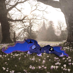 Size: 1080x1076 | Tagged: safe, artist:90sigma, artist:trrrebleee, edit, vector edit, princess luna, alicorn, pony, g4, irl, nature, outdoors, photo, real life background, sleeping, vector