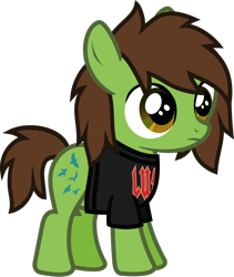 Size: 658x780 | Tagged: safe, artist:lightningbolt, derpibooru exclusive, earth pony, pony, .svg available, all time low, clothes, colt, foal, frown, male, ponified, shirt, show accurate, simple background, solo, standing, svg, t-shirt, transparent background, vector, zack merrick