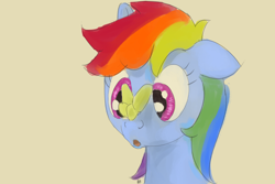 Size: 3000x2000 | Tagged: safe, rainbow dash, butterfly, g4, butterfly on nose, digital art, insect on nose, solo