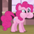 Size: 449x458 | Tagged: safe, edit, edited screencap, screencap, pinkie pie, earth pony, pony, g4, my little pony: friendship is magic, three's a crowd, cropped, female, mare, puffy cheeks, solo