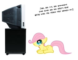 Size: 800x612 | Tagged: safe, fluttershy, earth pony, pony, g4, female, filly, foal, looking up, lyrics, simple background, smiling, solo, television, text, watching tv, white background, younger, zoboomafoo