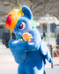 Size: 1543x1920 | Tagged: safe, artist:atalonthedeer, applejack, rainbow dash, pony, g4, 2016, brony fair, fursuit, holding a pony, irl, outdoors, photo, plushie, ponysuit