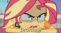 Size: 668x360 | Tagged: safe, edit, edited screencap, screencap, sunset shimmer, human, equestria girls, g4, angry, caption, image macro, implied brony, mouthpiece, solo, text