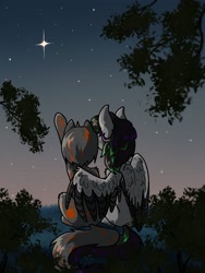 Size: 2304x3072 | Tagged: safe, artist:krotir56, artist:ritork, oc, pegasus, pony, art resylt, commission, results, stars, the night before, two ponies