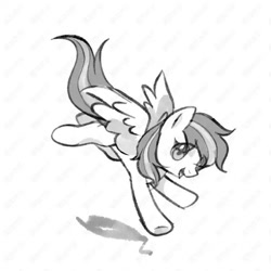 Size: 672x672 | Tagged: safe, artist:xiantuanfl, oc, oc only, oc:daodao, pegasus, flying, monochrome, pegasus oc, simple background, solo, white background, white coat, wings