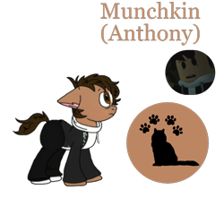 Size: 1080x1080 | Tagged: safe, artist:xxduncandonutxx, oc, oc only, cat, earth pony, pony, ponified, roblox, solo