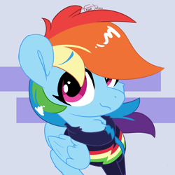 Size: 1600x1600 | Tagged: safe, artist:fakkajohan, rainbow dash, pegasus, pony, g4, abstract background, chest fluff, clothes, equestria girls outfit, female, jacket, looking at you, signature, simple background, solo, winter outfit