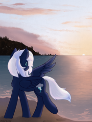 Size: 1500x2000 | Tagged: safe, artist:maravor, oc, oc:nightlight dawn, pegasus, pony, female, mare, solo, sunset