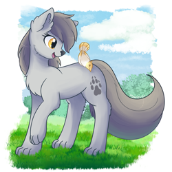 Size: 1500x1500 | Tagged: safe, artist:maravor, oc, oc:night breeze, bird, wolf, wolf pony, solo