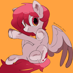 Size: 4096x4096 | Tagged: safe, artist:metaruscarlet, oc, oc only, oc:metaru scarlet, pegasus, pony, pegasus oc, ponysona, raised hoof, simple background, solo, spotted, spread wings, wings, yellow background