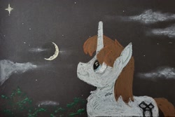 Size: 2048x1366 | Tagged: safe, artist:hoofclid, oc, oc only, oc:hoofclid, pony, unicorn, crescent moon, freckles, horn, looking up, male, moon, night, solo, stallion, starry night