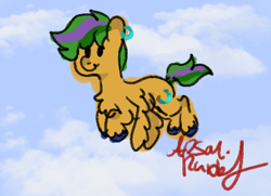 Size: 465x336 | Tagged: safe, artist:arsonrabbit, oc, oc only, oc:brassy cleave, pegasus, pony, g4, blue hooves, chest fluff, cloud, cloudy, digital art, doodle, ear piercing, flying, green hair, green mane, green tail, hooves, male, orange coat, outdoors, pegasus oc, piercing, signature, sky, solo, stallion, tail, unshorn fetlocks, wings