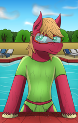 Size: 3200x5000 | Tagged: safe, alternate version, artist:tacomytaco, big macintosh, earth pony, pony, semi-anthro, g4, clothes, goggles, looking at you, male, midriff, outdoors, shirt, smiling, solo, speedo, stallion, standing, swimming pool, swimsuit, unshorn fetlocks, water, wet