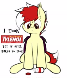 Size: 1755x2048 | Tagged: safe, artist:aaathebap, oc, oc:aaaaaaaaaaa, bat pony, bat pony oc, meme, tylenol