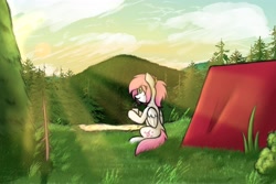 Size: 4096x2731 | Tagged: safe, artist:aaathebap, oc, oc only, oc:sugar morning, camping, comfy, crepuscular rays, solo, tent