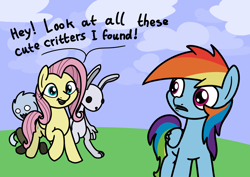 Size: 2048x1448 | Tagged: safe, artist:ewoudcponies, fluttershy, rainbow dash, pegasus, pony, rabbit, g4, animal, dialogue, female, mare, open mouth, open smile, smiling, spread wings, wings