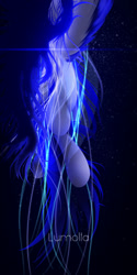 Size: 1000x2000 | Tagged: safe, artist:lumolla, oc, oc only, hybrid, jellyfish, original species, pegasus, pony, blue mane, digital art, flowing mane, flowing tail, glowing, monochrome, ocean, solo, swimming, tail, underwater, water