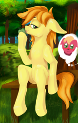 Size: 2742x4290 | Tagged: safe, artist:kapitanazot, big macintosh, braeburn, earth pony, g4, apple, digital art, food, forest, grass, nature, solo, table, tree, wood