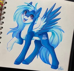 Size: 2674x2569 | Tagged: safe, artist:fluxittu, oc, oc:night sky, pegasus, pony, female, mare, solo, traditional art