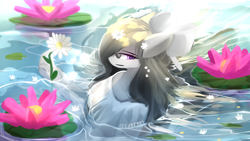 Size: 1920x1080 | Tagged: safe, artist:ssnerdy, oc, oc only, earth pony, pony, solo