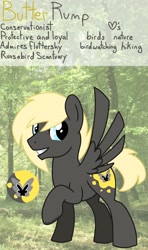 Size: 1284x2170 | Tagged: safe, artist:edgelordhedgelord, oc, oc only, oc:butter rump, pegasus, pony, male, solo, stallion