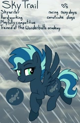 Size: 1284x1982 | Tagged: safe, artist:edgelordhedgelord, oc, oc only, oc:sky trail, pegasus, pony, female, mare, solo