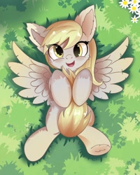 Size: 1600x2000 | Tagged: safe, derpy hooves, pegasus, pony, g4, cute, event, female, grass, grass field, looking at you, mailmare, pegasus wings, solo, solo female, wings