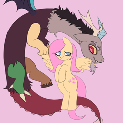 Size: 3000x3000 | Tagged: safe, artist:sleepymist, discord, fluttershy, draconequus, pegasus, pony, g4, bags under eyes, colored, colored pupils, duo, duo male and female, female, flat colors, flying, full body, looking at each other, looking at someone, male, mare, no pupils, pink background, simple background, spread wings, wings