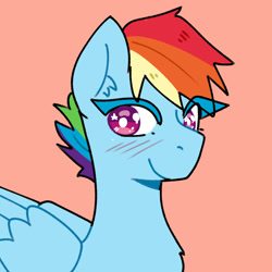 Size: 2000x2000 | Tagged: safe, artist:mylittleyuri, rainbow dash, pegasus, pony, g4, blush lines, blushing, bust, looking at you, male, orange background, rainbow blitz, rule 63, simple background, smiling, smiling at you, solo, stallion, white pupils, wings