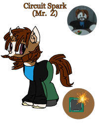 Size: 1536x1920 | Tagged: safe, artist:xxduncandonutxx, oc, oc only, pony, unicorn, horn, ponified, roblox, solo