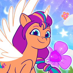 Size: 1000x1000 | Tagged: safe, sunny starscout, alicorn, g5, my little pony: tell your tale, official, 2d, flower, looking at you, profile picture, raised hoof, smiling, smiling at you, stars, weixin