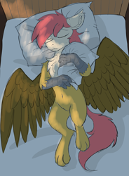 Size: 3671x5000 | Tagged: safe, artist:pzkratzer, oc, oc:ponygriff, ponygriff, 30 minute art challenge, belly, belly button, hybrid oc, male, pillow, sketch, sleeping, solo, sunset