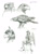 Size: 1011x1350 | Tagged: safe, artist:baron engel, oc, oc only, oc:dominique, bird, eagle, griffon, anthro, anthro oc, griffon oc