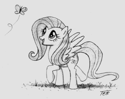 Size: 627x495 | Tagged: safe, artist:stingray-24, fluttershy, butterfly, pegasus, pony, g4, female, grass, looking at someone, mare, monochrome, open mouth, outdoors, pencil drawing, signature, solo focus, spread wings, traditional art, walking, wings