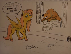 Size: 2048x1538 | Tagged: safe, artist:pasu-chan, fluttershy, dog, mouse, pegasus, pony, g4, dialogue, duo, female, mare, marker drawing, open mouth, pet oc, speech bubble, traditional art