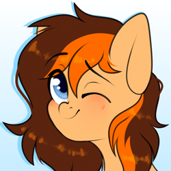 Size: 1500x1500 | Tagged: safe, artist:etoz, oc, oc only, oc:aerion featherquill, pegasus, pony, blushing, bust, femboy, male, one eye closed, rule 63, solo, stallion, wink