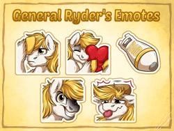 Size: 2000x1500 | Tagged: safe, artist:lupiarts, oc, oc only, oc:general ryder, pony, emotes, solo
