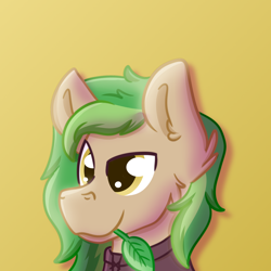 Size: 2500x2500 | Tagged: safe, artist:exobass, oc, oc only, oc:swift greenleaf, earth pony, bust, closed mouth, earth pony oc, grin, leaf, looking at you, male, male oc, portrait, simple background, smiling, solo, striped mane, yellow background