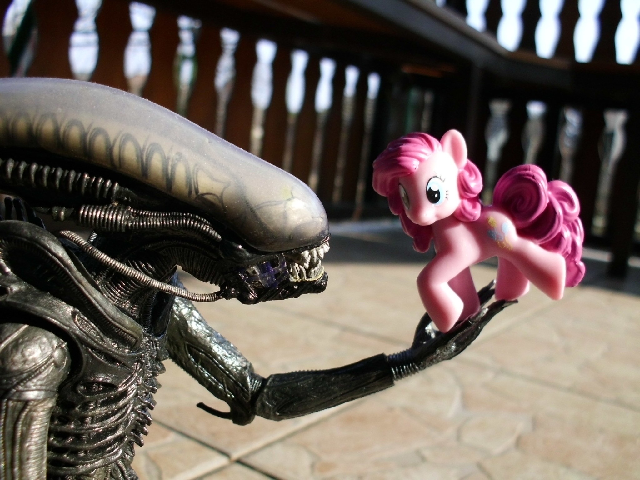 Вставил чужой. Чужой пони. Чужой Дисней. Xenomorph Pony. Мультфильм чужие в доме.