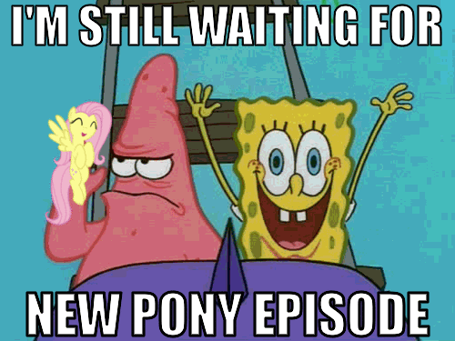 #214006 safe fluttershy g4 animated image macro male patrick is