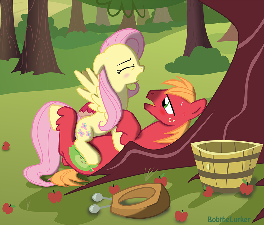 Big Macintosh And Fluttershy Sex - 464961 Apple Artistbobthelurker Big Macintosh | CLOUDY GIRL PICS