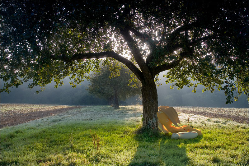 Under the tree. Фотографа природа Филипп. Lying under the Apple Tree. By the Light of nature (Shine;Radio).